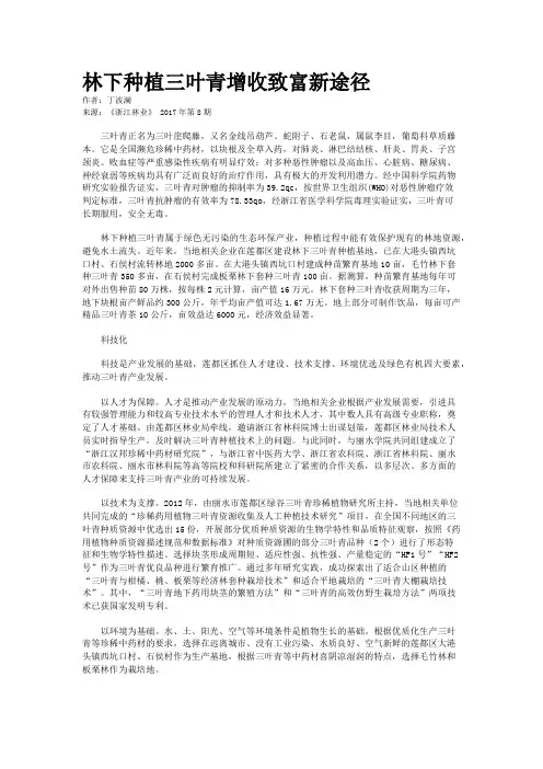 林下种植三叶青增收致富新途径