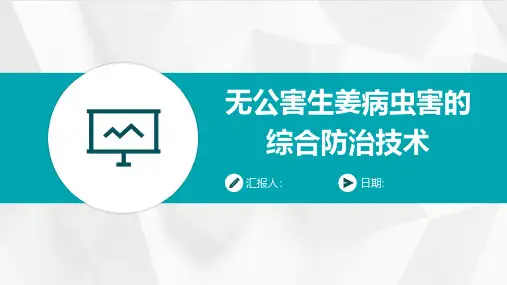 无公害生姜病虫害的综合防治技术