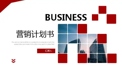 玩具厂营销计划PPT