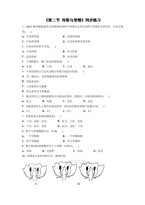 初中生物 《第二节 传粉与受精》同步练习1