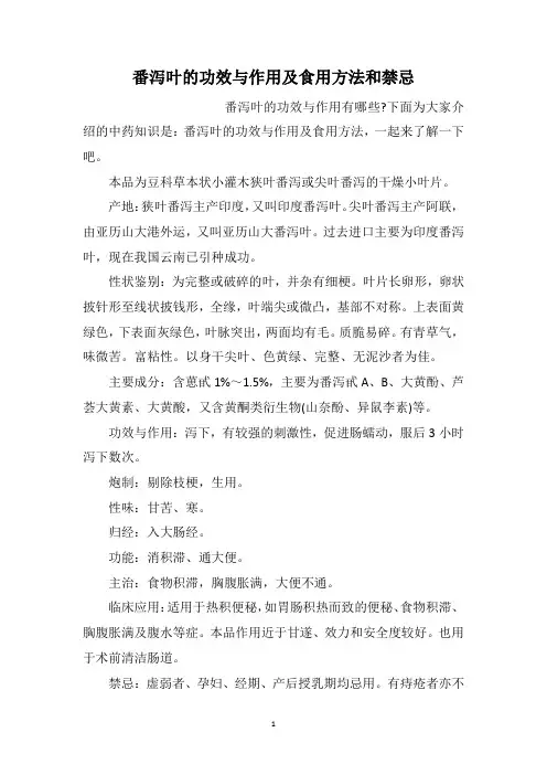 番泻叶的功效与作用及食用方法和禁忌