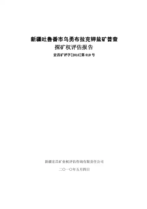 国际实业：新疆吐鲁番市乌勇布拉克钾盐矿普查探矿权评估报告 2010-07-30
