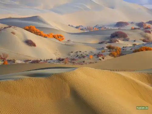 区域地理—中国地理之中国气候