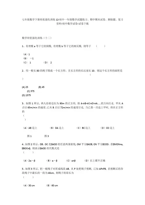 七年级数学下册培优强化训练12-初中一年级数学试题练习、期中期末试卷-初中数学试卷_1