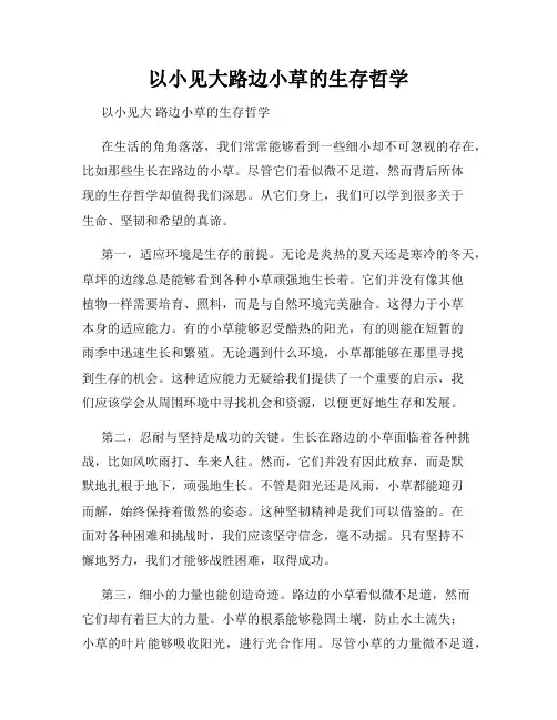 以小见大路边小草的生存哲学