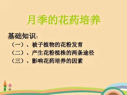 高一生物月季的花药培养PPT优秀课件