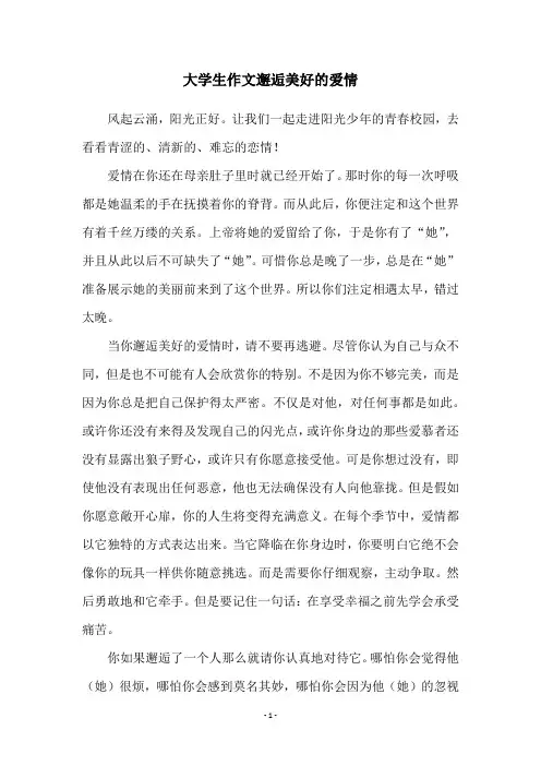大学生作文邂逅美好的爱情