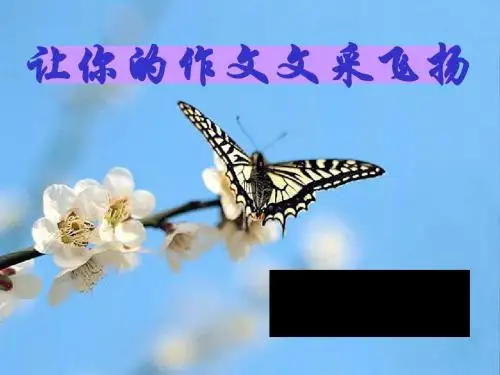 初中作文指导：让你的作文文采飞扬ppt8