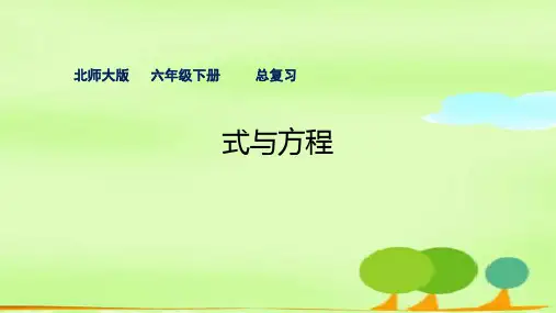 新北师大版六年级数学下册《复习  式与方程》课件_5