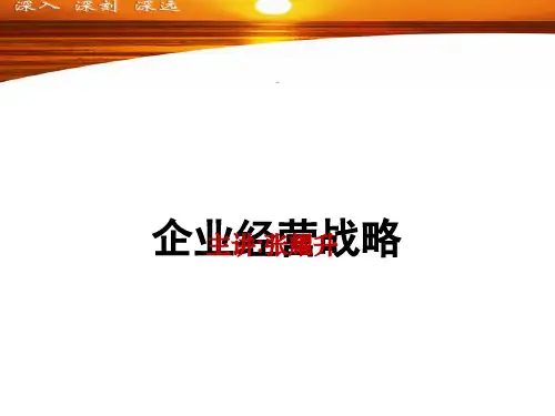 企业经营战略讲义.pptx