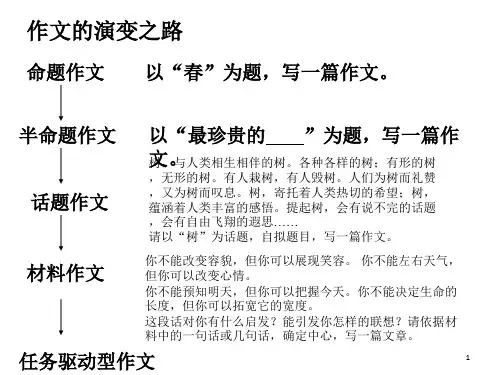 高中语文任务驱动型作文写作指导PPT课件
