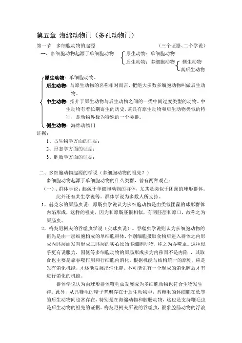 第五章 海绵动物门