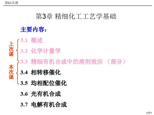 04精细化工工艺学第3章