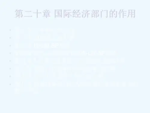 第二十章国际经济部门的作用
