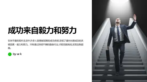 成功来自毅力和努力主题班会PPT课件