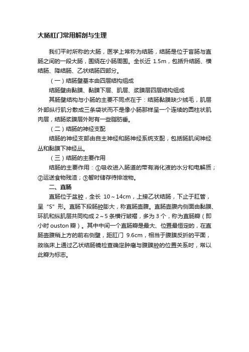 大肠肛门常用解剖与生理
