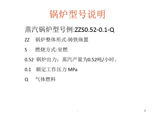 锅炉介绍及易出现的问题PPT精选文档