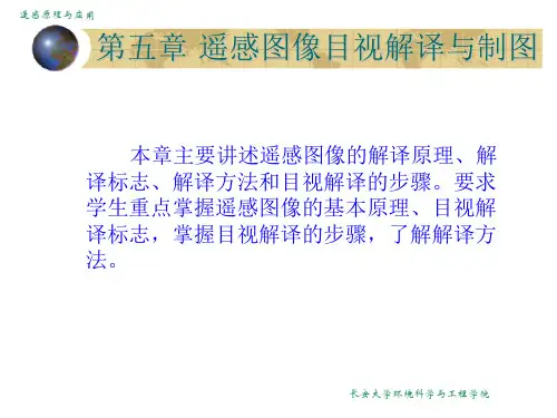 遥感遥感图像目视解译与制图