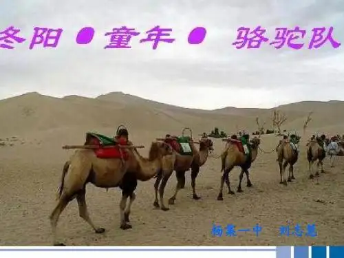 冬阳童年骆驼队课件(PPT_23页)