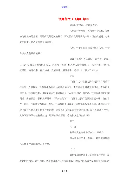 高中语文 话题作文《飞翔》导写素材