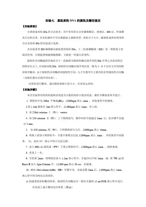 重组质粒DNA的提取及酶切鉴定