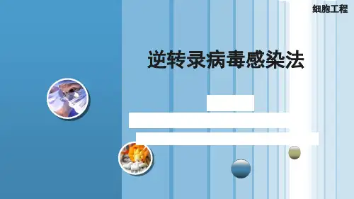 逆转录病毒感染法