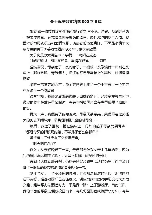 关于优美散文精选800字5篇