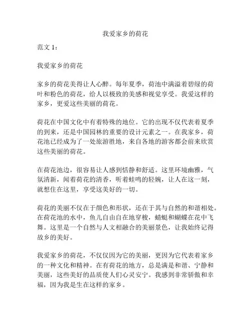 我爱家乡的荷花