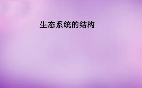 5.1 生态系统的结构 课件 人教版高中生物必修3