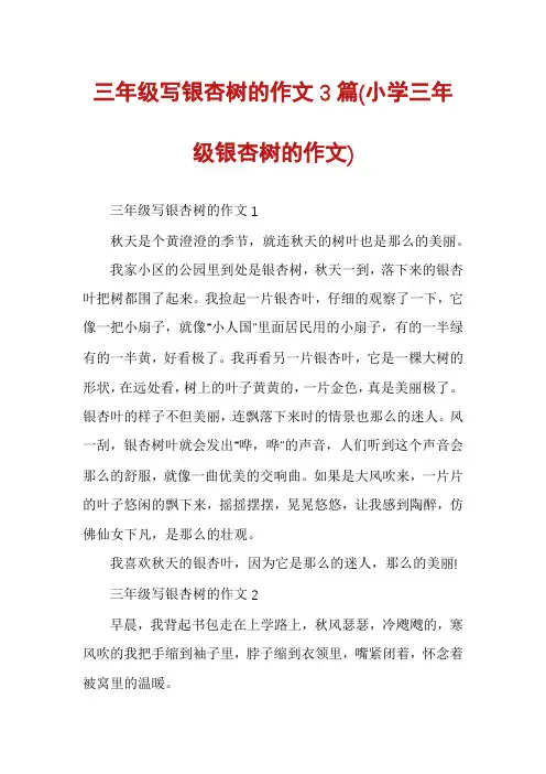 三年级写银杏树的作文3篇
