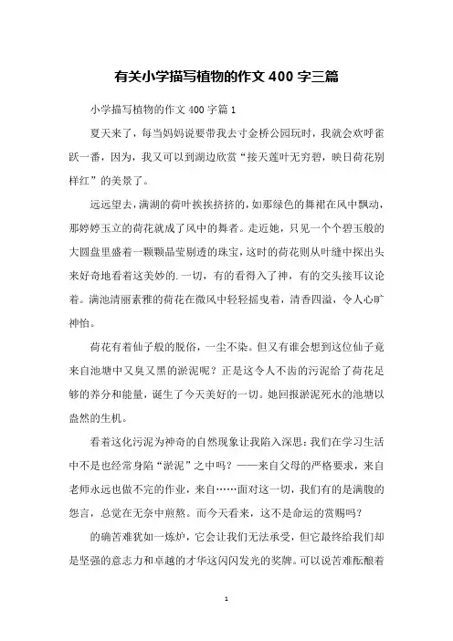有关小学描写植物的作文400字三篇