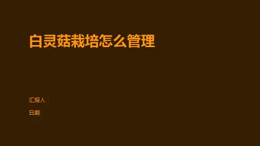 白灵菇栽培怎么管理