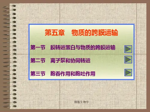 细胞生物学_翟中和--第五章