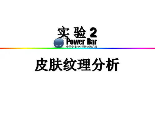 实验2 人类皮肤纹理分析