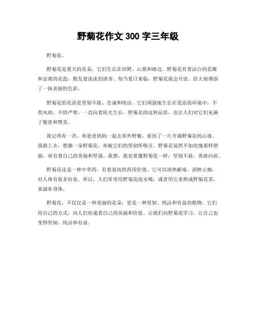 野菊花作文300字三年级