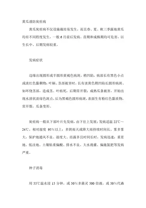 黄瓜谨防炭疽病