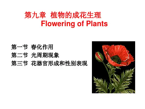植物成花生理