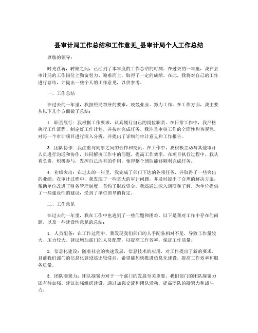 县审计局工作总结和工作意见_县审计局个人工作总结