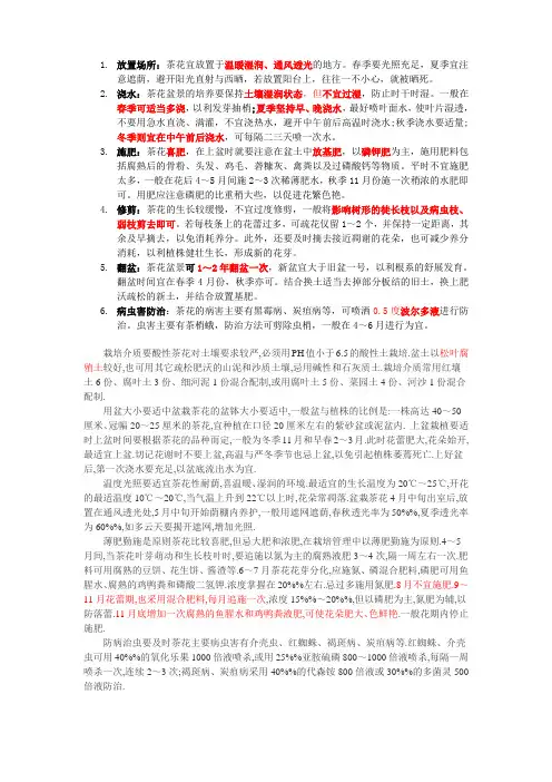 茶花养殖