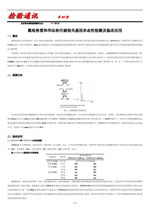 氯吡格雷和华法林代谢相关基因多态性检测及临床.doc