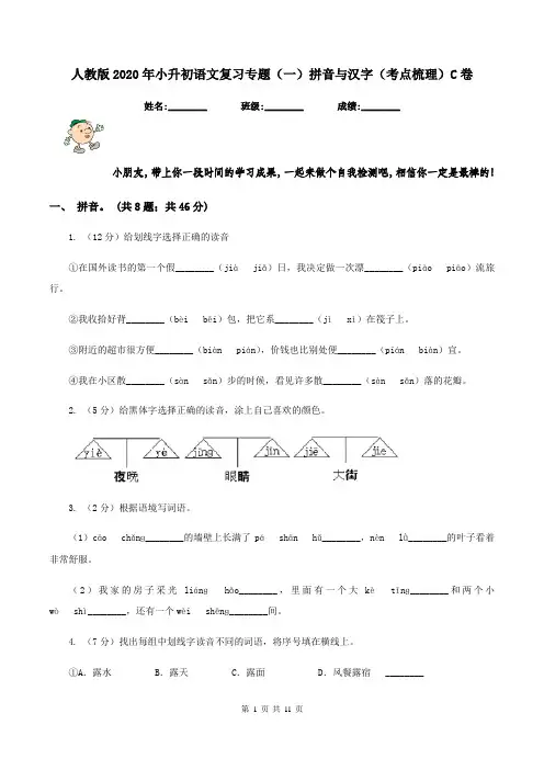 人教版2020年小升初语文复习专题(一)拼音与汉字(考点梳理)C卷