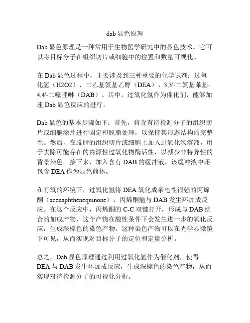 dab显色原理