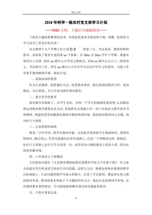 2019年两学一做农村党支部学习计划