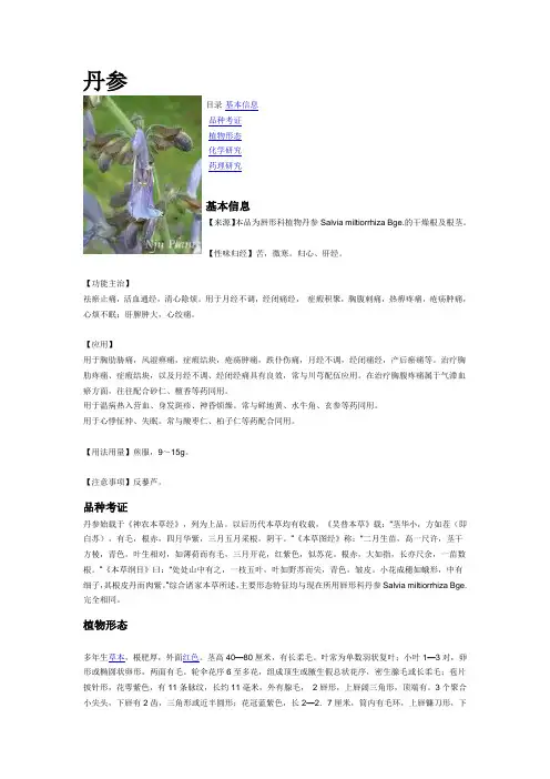 丹参提取物 2