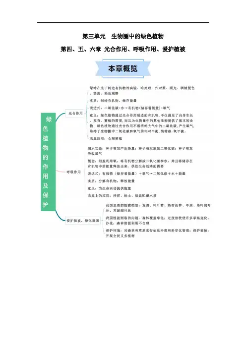 2024–2025学年七年级生物上册速记(人教版)绿色植物是生物圈中有机物的制造者速记清单(解析版)