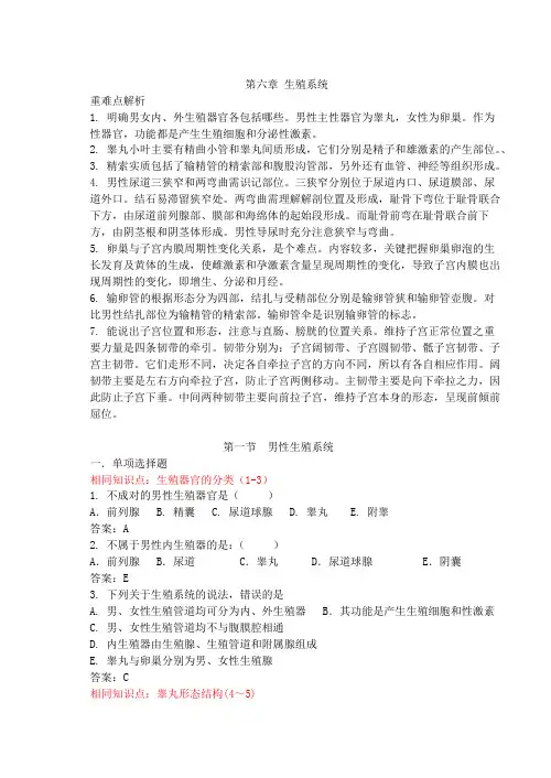 第6章 生殖系统(教研版 )