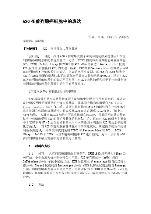A20在前列腺癌细胞中的表达.