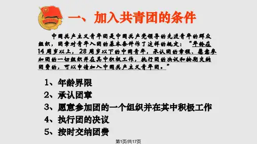 积极加入共青团PPT课件