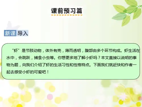 部编版三年级下册语文15小虾课件17页.ppt