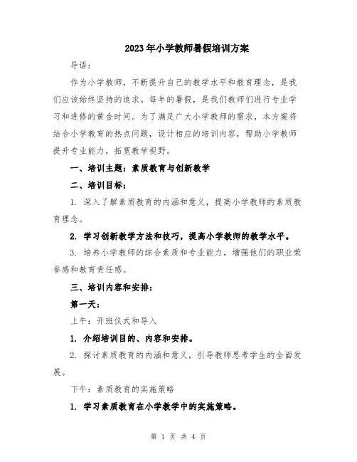 2023年小学教师暑假培训方案